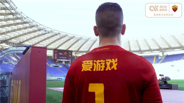 应变能力令