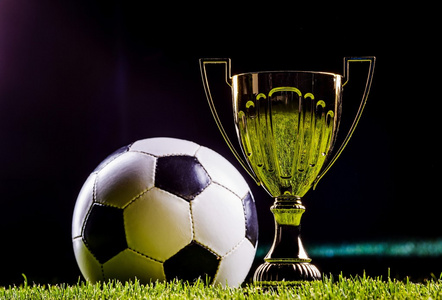 山东武术队 山东武术队