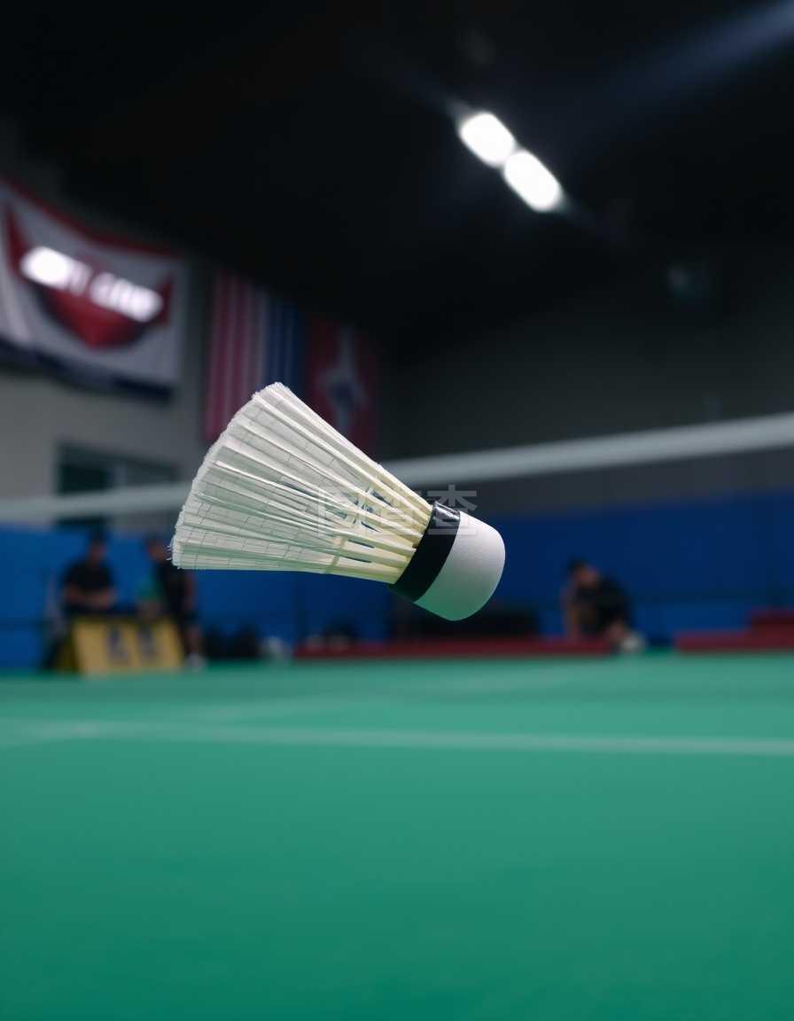 加冬季两项 加冬季两项